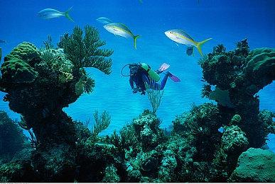 《王国之心》推出联名周边商品 今日开启预定